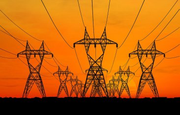 Competition Problems in Distribution Networks: The Turkish Competition Authority Involved with a Heavy Hand