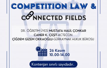 Competition Law and Connected Fields