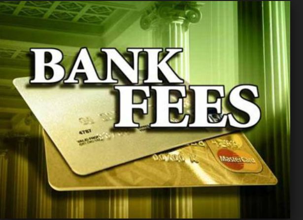 Turkish Council of State Annulled the Provision Regarding the Account Maintenance Fees Charged by Banks